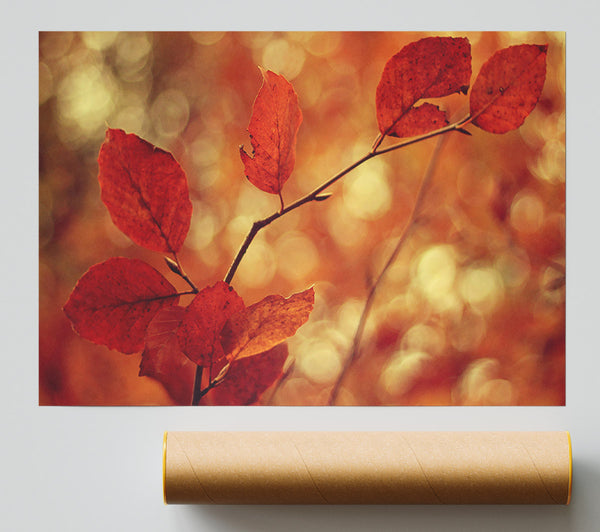 Leaves In Autumn