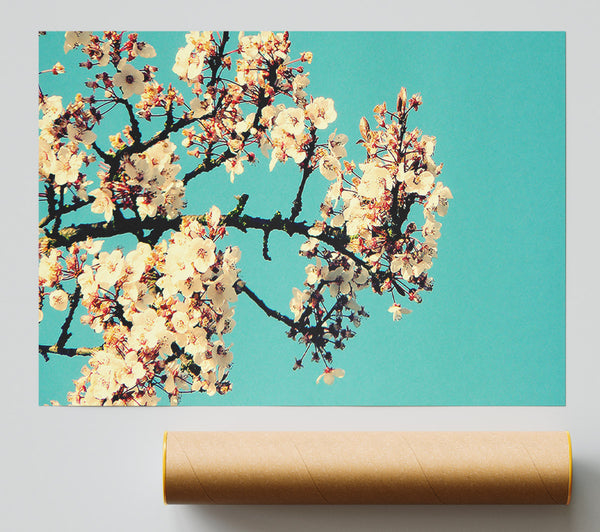 Blossom Tree Against A Blue Sky