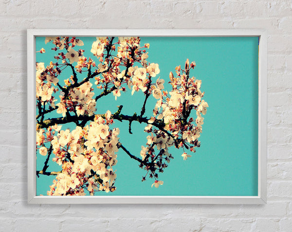 Blossom Tree Against A Blue Sky