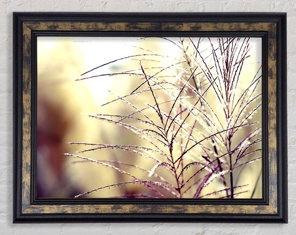 Wildflowers In The Sunlight