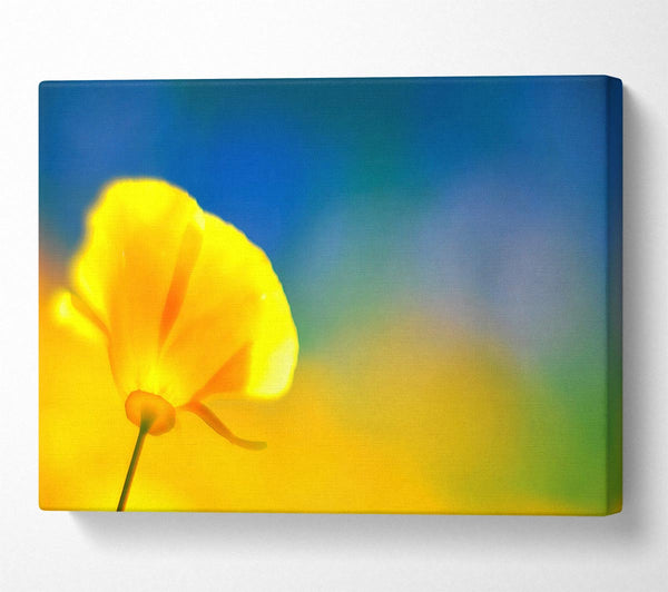 California Poppy Yellow