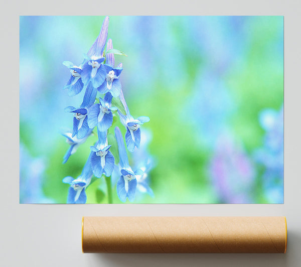 Soft Focus Small Blue Flowers