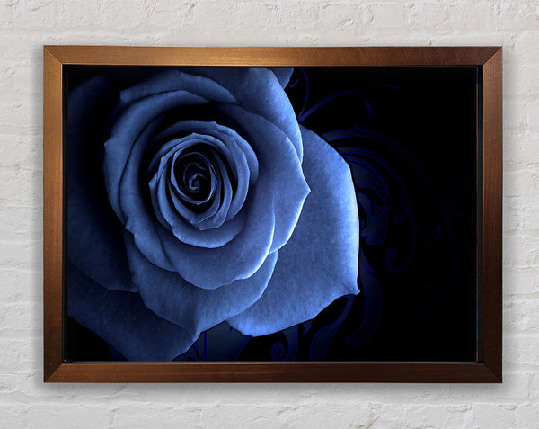 Blue Rose On Black