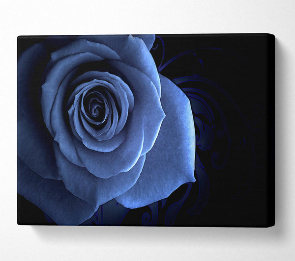 Blue Rose On Black