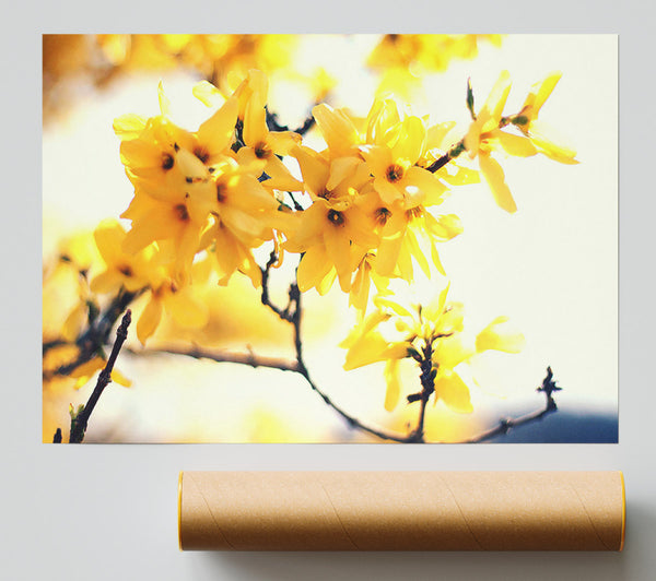 Yellow Tree Flower