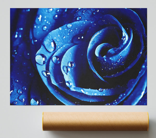 Wet Drops Blue Rose