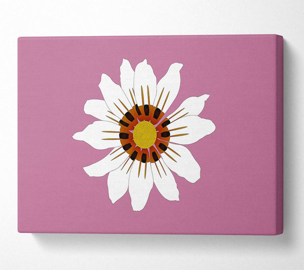 White Daisy Pinks