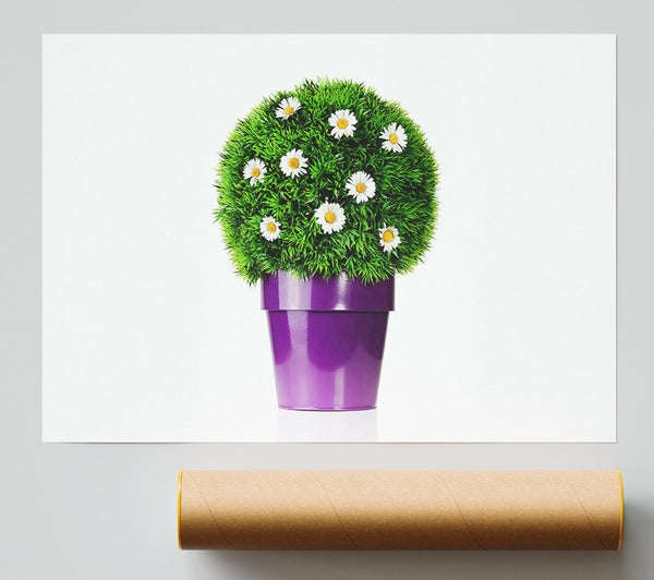 White Daisy Pot