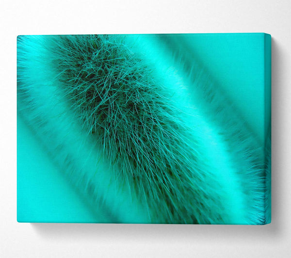 Fur Stem