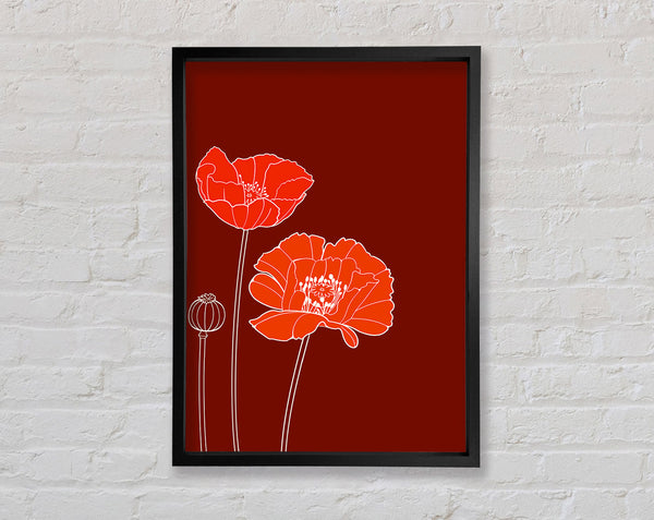 Red Poppies Maroon