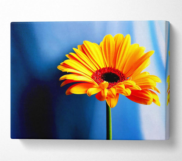 Single Orange Gerbera