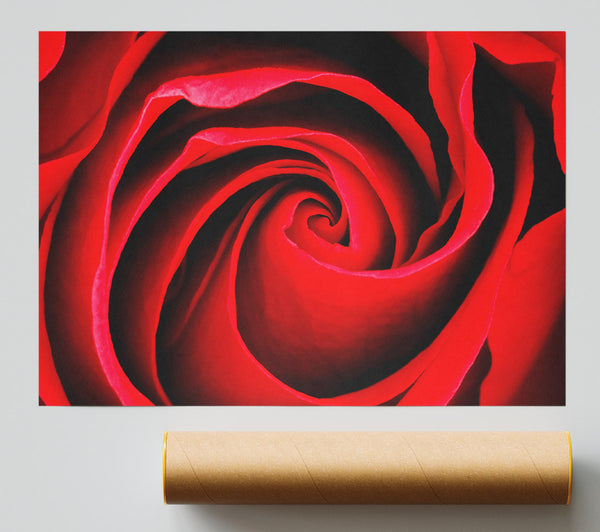 Red Rose Silk