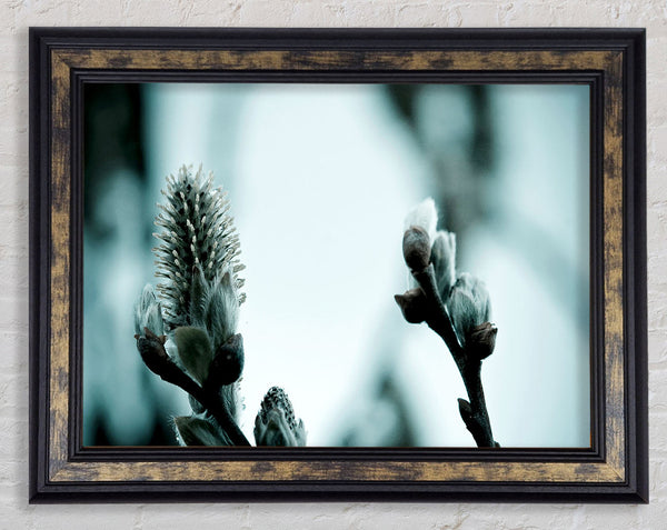 Winter Snow Flowers