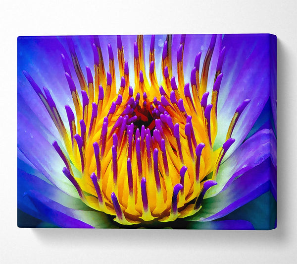 Vibrant Purple Water Lily