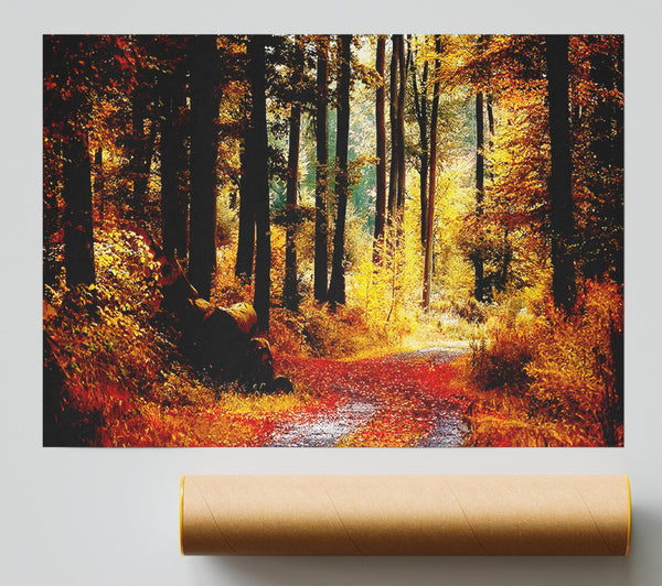 Forest Autumn Path