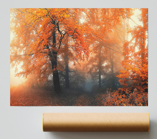 Autumn Orange Mist