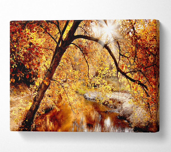 Creek In The Autumn Forest