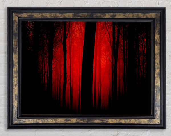 Blood Red Forest