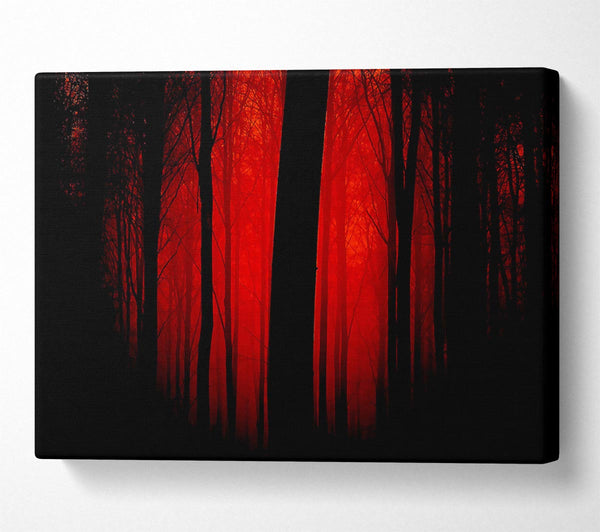 Blood Red Forest