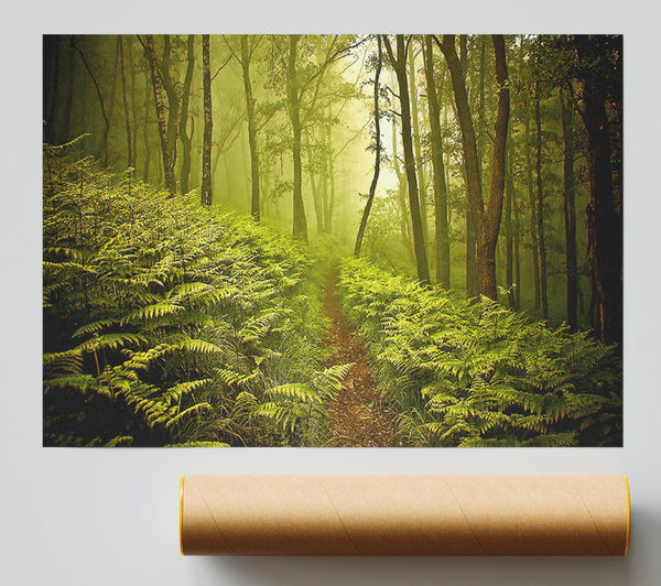 Green Forest Path