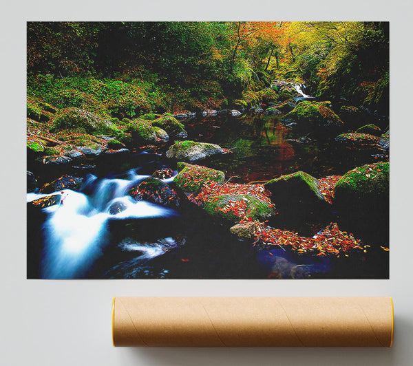 Autumn Forest River