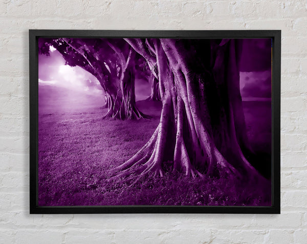 Purple Forest