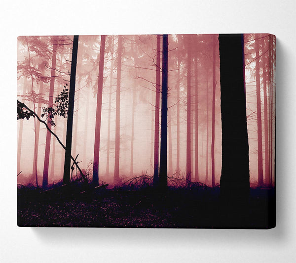 Mauve Forest Mist