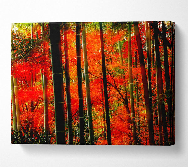 Red Autumn Forest