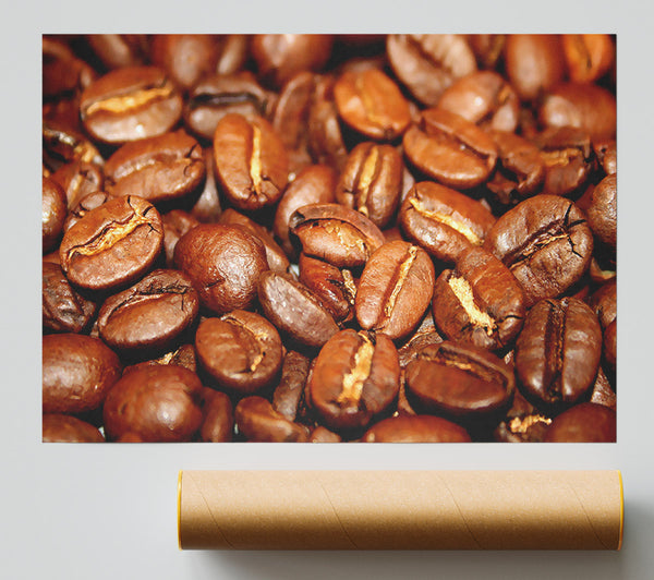 Roasted Coffee Beans