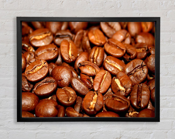 Roasted Coffee Beans