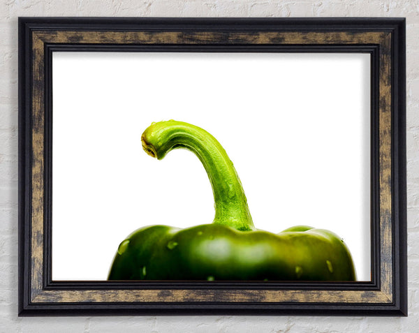 Green Pepper Head