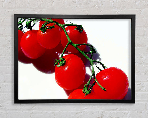 Red Cherry Tomato Vine