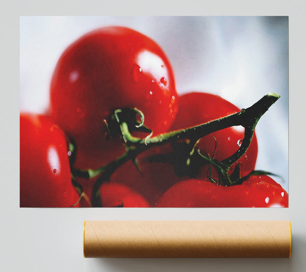 Cherry Tomato Vine