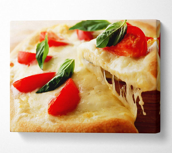 Cheese And Tomato Pizza