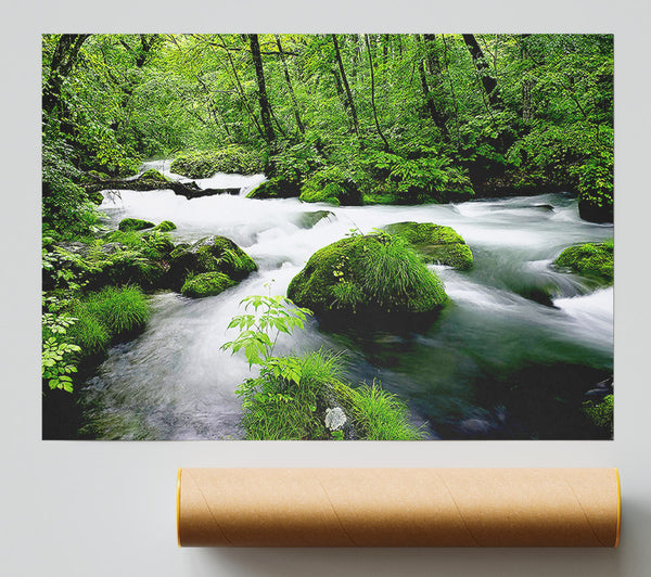 Green Forest Stream