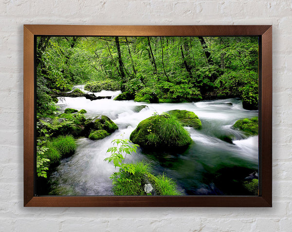 Green Forest Stream