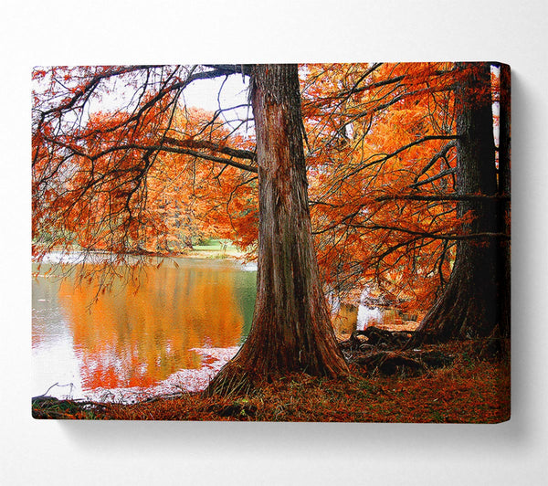 Orange Winter Lake Reflections