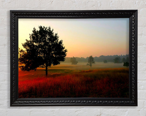 Autumn Sunrise Tree In The Mist