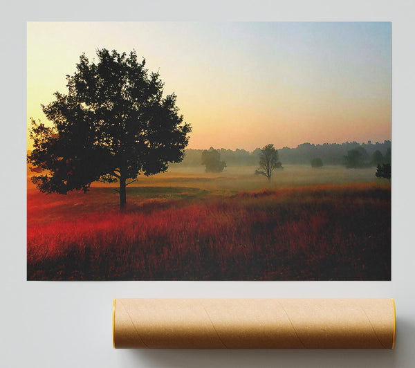 Autumn Sunrise Tree In The Mist