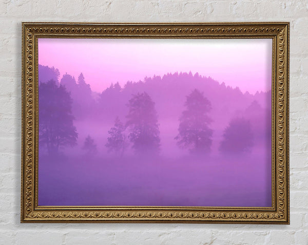 Lilac Forest Mist