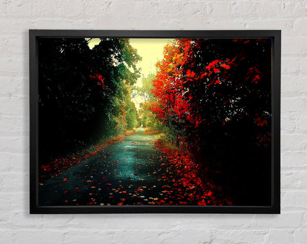 Red Trees On The Autumn path