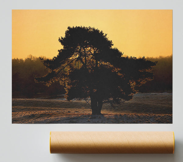 Stunning Old Tree At Dusk