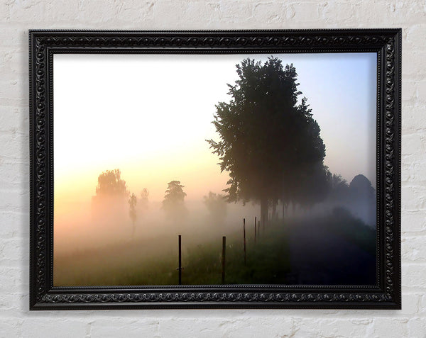 Mist In The English Countryside