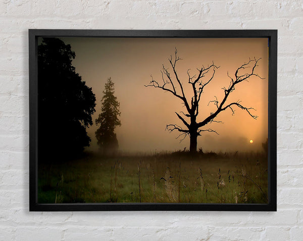 Winter Tree In The Mist