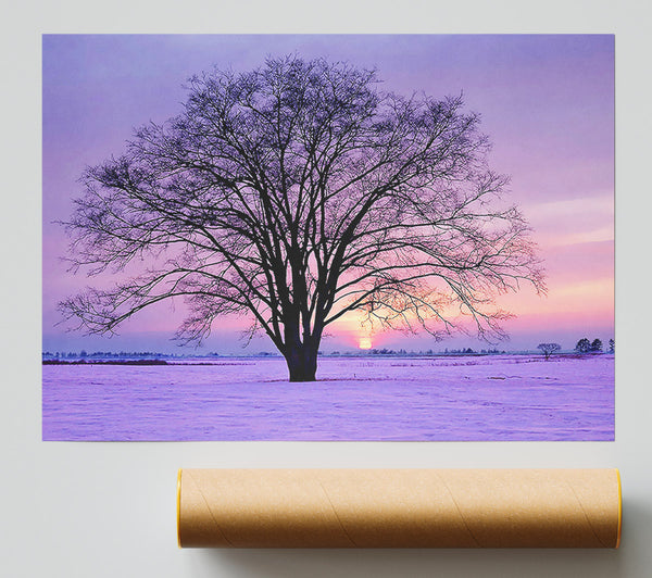 Sunrise In The Purple Winter