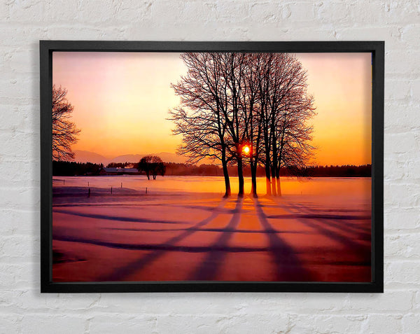 Winter Tree Sunrise Pinks