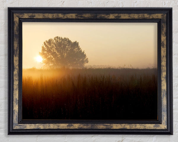 Yorkshire Dales Sunset Mist