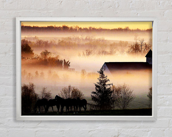 Horses In The Morning Mist