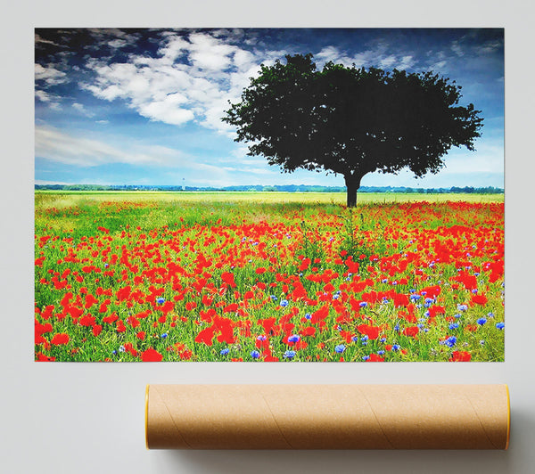 Poppy Field Tree