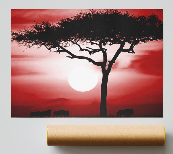 African Safari Red